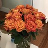 玫瑰 欢乐颂65Cm 商品缩略图0