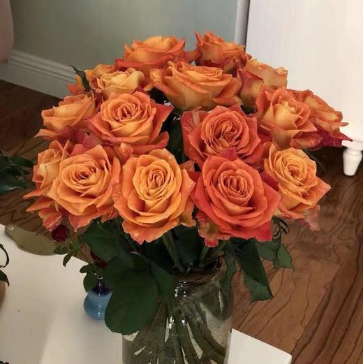 玫瑰 欢乐颂65Cm 商品图0