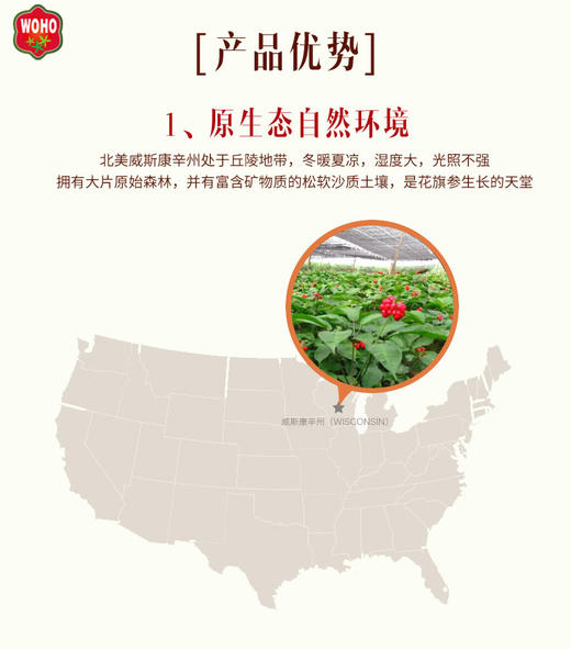 【美国直邮】WOHO花旗参长枝JPY带授权 商品图3