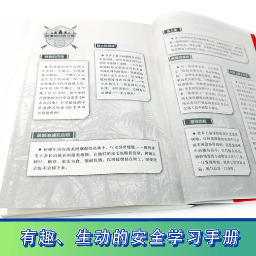 贝尔荒野求生少年生存小说拓展版01 巨蟒丛林的黄金密码  商品图4