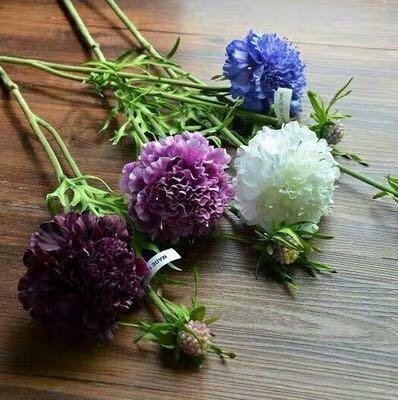 松虫草配色 商品图4