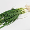 蒜苗/青蒜300g 商品缩略图1