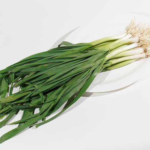 蒜苗/青蒜300g 商品图1
