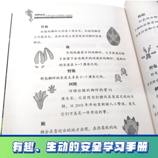 贝尔荒野求生少年生存小说拓展版04 猛虎火山的生死逃亡  商品图4