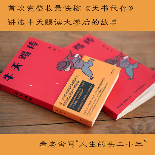 牛天赐传 商品图1