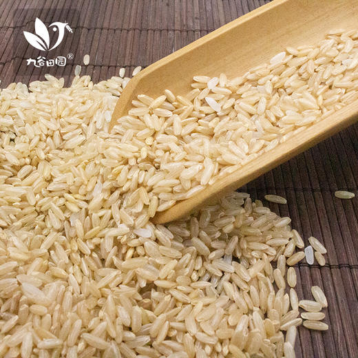 糙米——  膳食纤维  全谷物 380g 商品图1