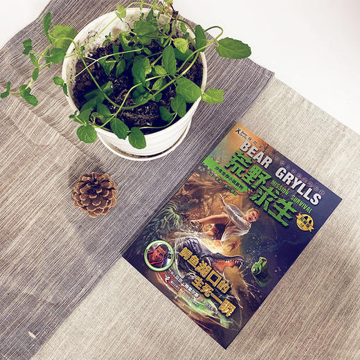 荒野求生少年生存小说系列（拓展版）18：鳄鱼湖口的生死一瞬 商品图2