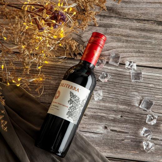 佳特利庄园珍藏加本力苏维翁红葡萄酒187 ml 商品图2