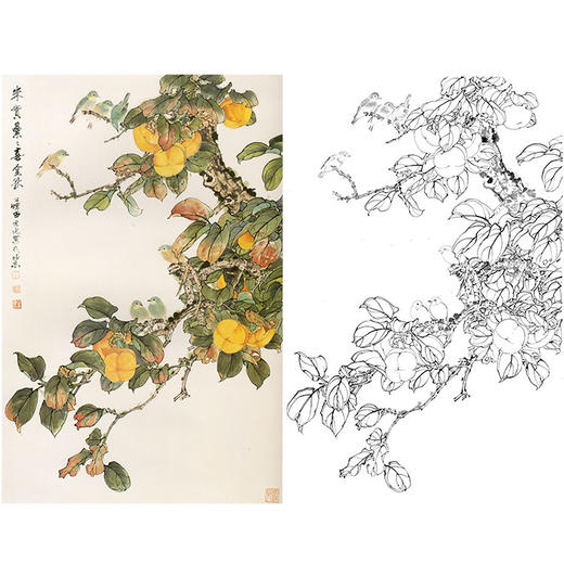 田世光工笔竖幅花鸟白描底稿朱实累喜金秋多种白描尺寸可选sg12