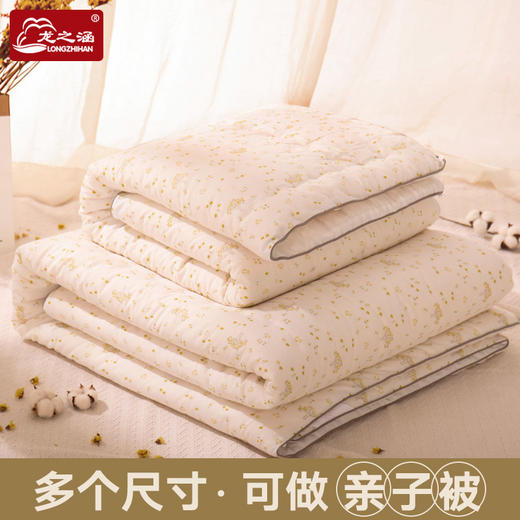 龙之涵婴儿被子全棉秋冬宝宝幼儿园小被子厚款儿童棉被芯新生儿四季通用 商品图4