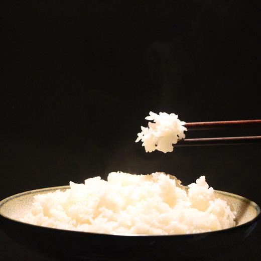 【9折】24年生态五常稻花香大米 |  未抛光 稻香浓郁 |包邮 * Wuchang Organic Rice | Self-Produced 商品图2