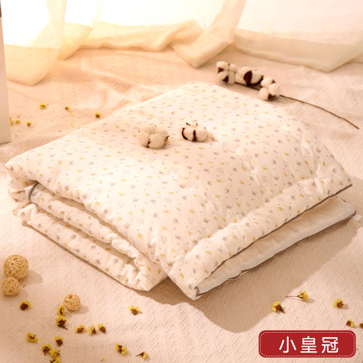 龙之涵婴儿被子全棉秋冬宝宝幼儿园小被子厚款儿童棉被芯新生儿四季通用 商品图1