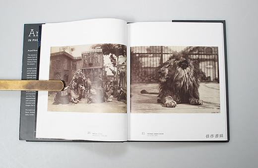 Animals in Photographs/照片中的动物 商品图1