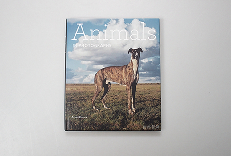Animals in Photographs/照片中的动物