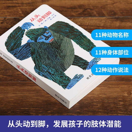 【新版】信谊宝宝起步走·纸板书：从头动到脚 3-6岁绘本（绘本大师艾瑞·卡尔鼓励孩子和动物们一起跺跺脚、转转头，发展身体潜能！） 商品图2