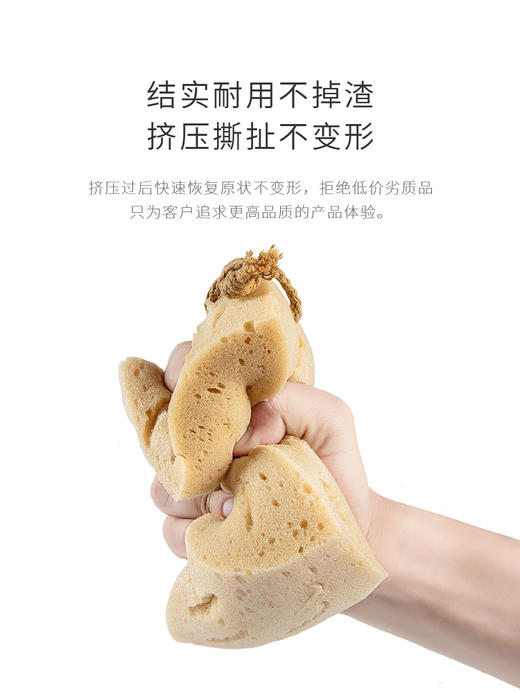 徕本洗车海绵蜂窝孔设计高效去污 商品图4