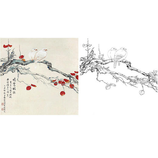 田世光工笔花鸟白描底稿斗方小品册页sg03