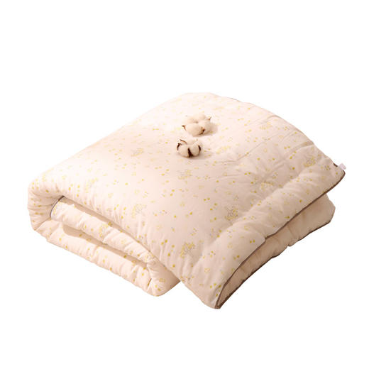 龙之涵婴儿被子全棉秋冬宝宝幼儿园小被子厚款儿童棉被芯新生儿四季通用 商品图3