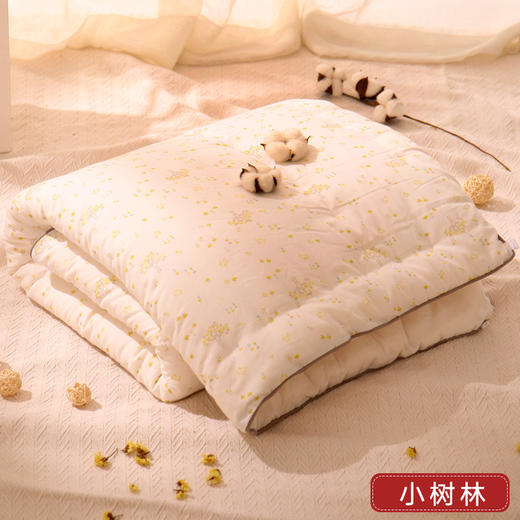 龙之涵婴儿被子全棉秋冬宝宝幼儿园小被子厚款儿童棉被芯新生儿四季通用 商品图0