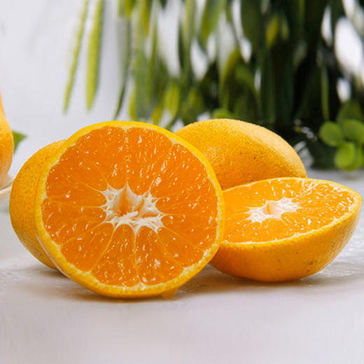 正宗东江湖蜜桔约16斤橘子湖南特产精品水果