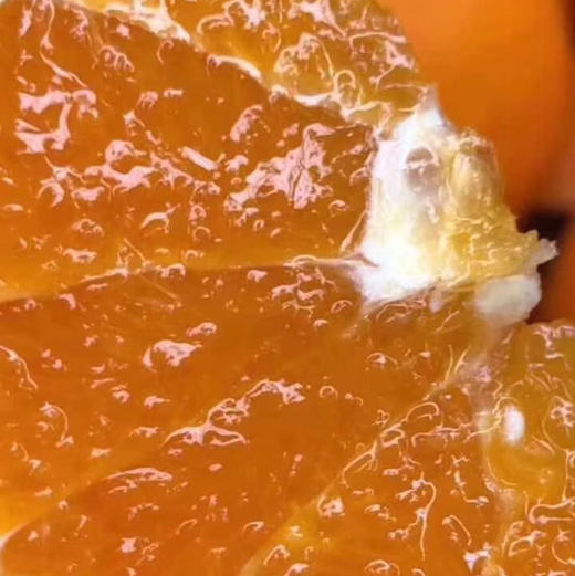 进口皇冠橙，个头超大，晚期脐橙，嫩甜多汁性价比超高的橙子，单果400g左右15只/箱 商品图8