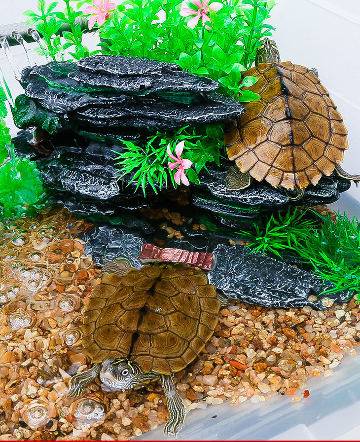 乌龟缸乌龟盆带晒台宠物龟专用缸家用龟箱