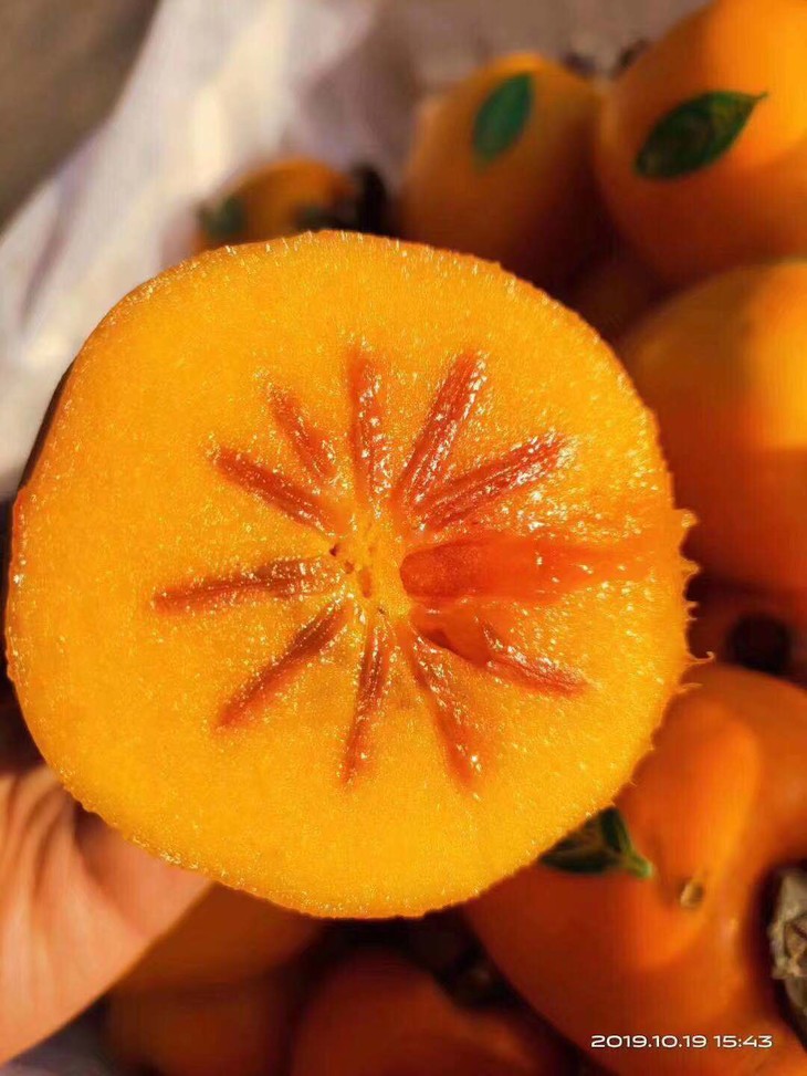 市内同城48元购精选芒果柿子455斤左右