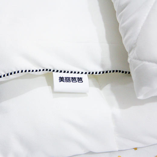 蓝边棉芯美容床罩专用1.25m*1.85m 商品图1