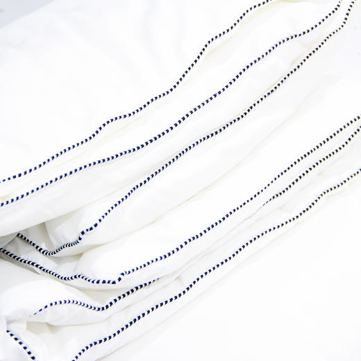 蓝边棉芯美容床罩专用1.25m*1.85m 商品图3