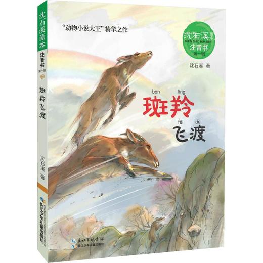 斑羚飞渡 商品图0