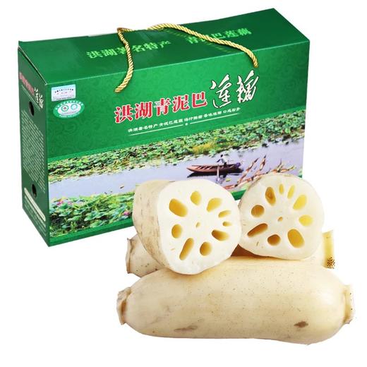 【下单后48小时左右发货】湖北 洪湖 青泥巴粉藕5斤装左右 商品图7