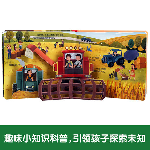 揭秘小世界（全4册）动物的家+夜晚+农场+恐龙 原价：199.2 商品图2