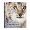 世界野生猫科动物 猫盟cfca推荐  野生哺乳动物猫科动物品种大全图鉴 商品缩略图0