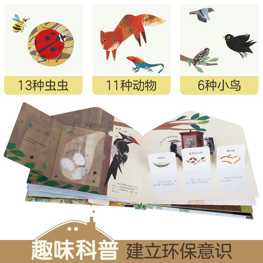 【玩具反斗城】这是我的家（3册全）虫虫的家+小鸟的家+动物的家 原价264/套 商品图5