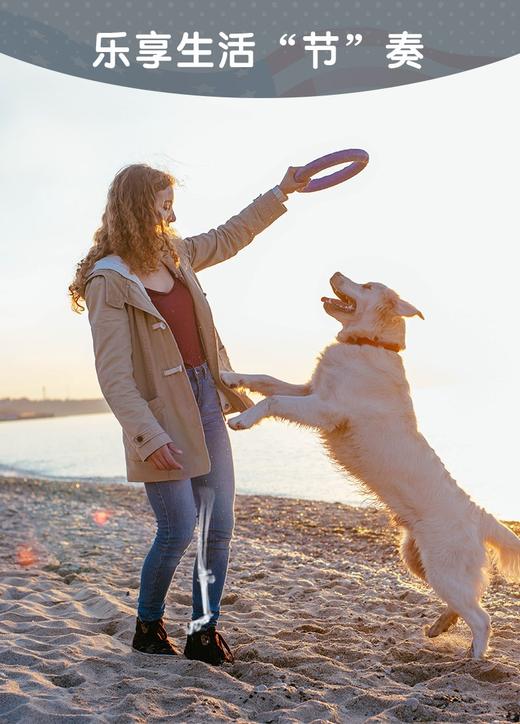 麦德氏IN-VET 鲨鱼软骨素  商品图1