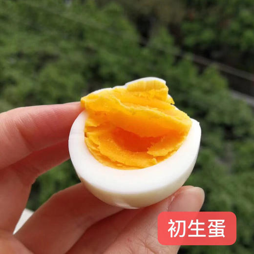 （年终限时回馈）正宗初生蛋30枚 商品图0
