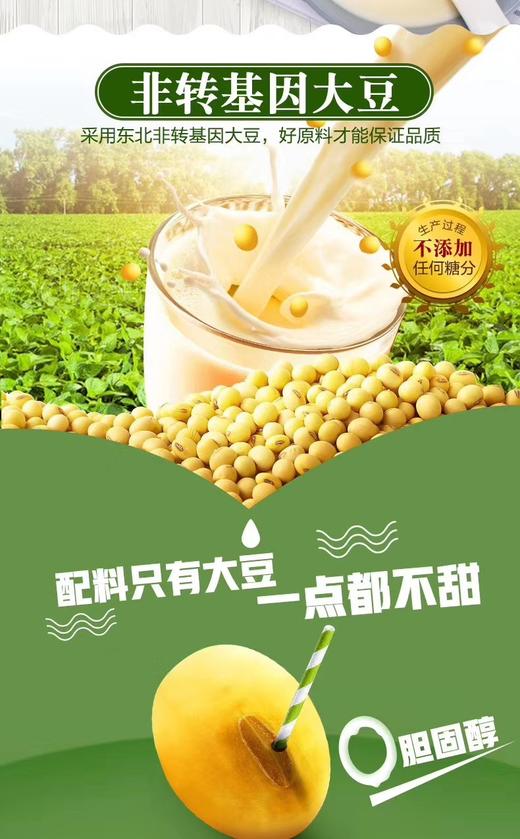 豆菽 豆浆粉 一袋30包 商品图11