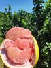 【清甜爽口】自然农法蜜柚膏 柚子膏 商品缩略图4