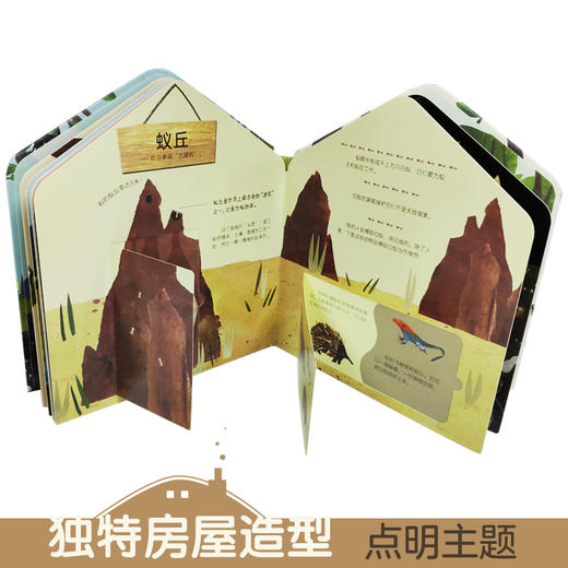这是我的家科普翻翻书-动物的家 原价：88 商品图1