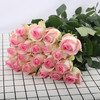 玫瑰·桃红雪山 商品缩略图0