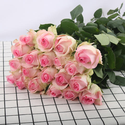 玫瑰·桃红雪山 商品图0