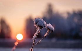 体寒，你到了几级？