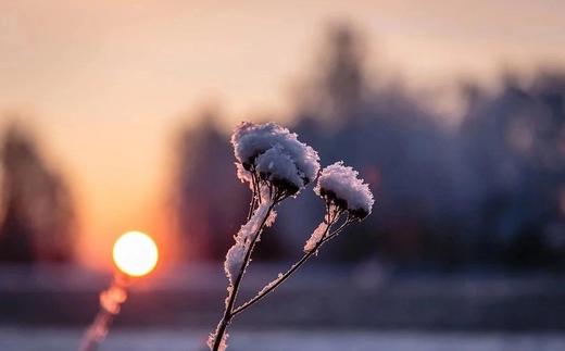 体寒，你到了几级？ 商品图0