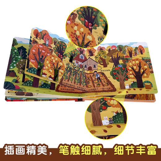 揭秘小世界-农场 原价：49.8 商品图4