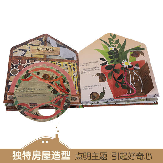 这是我的家科普翻翻书：虫虫的家 原价88 商品图5
