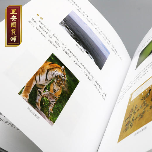 正安 《非视觉太极》图解 太极拳基础教程 中老年晨练 居家运动健身 商品图4