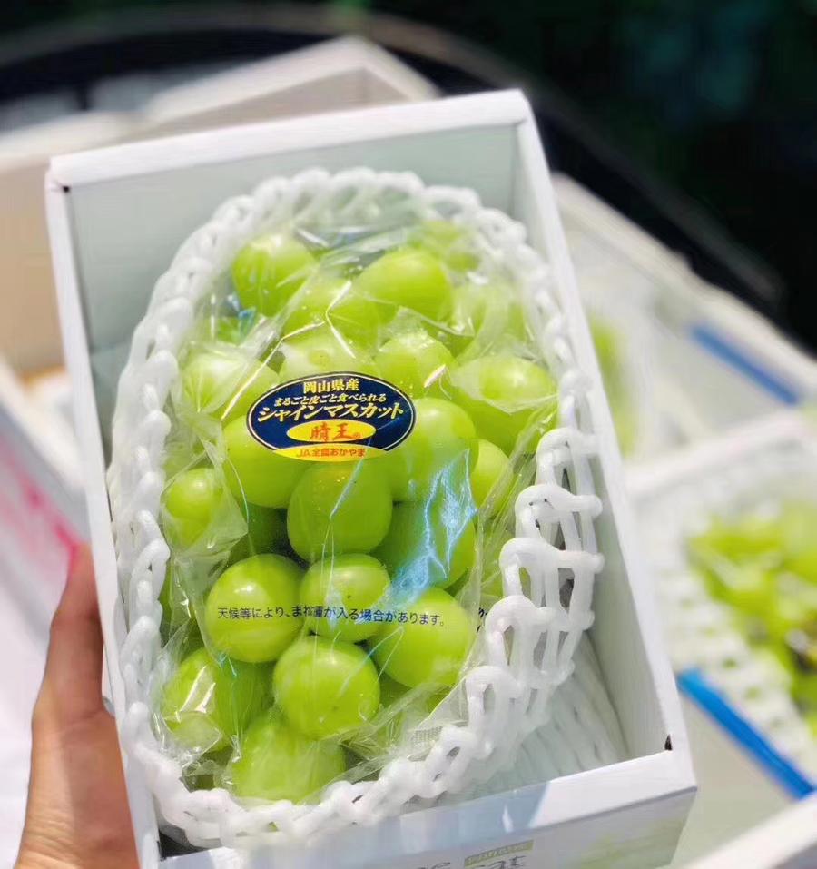 【全国包邮】日本晴王颗粒大又匀称,果肉脆脆糯糯,很有质感, 果肉脆甜