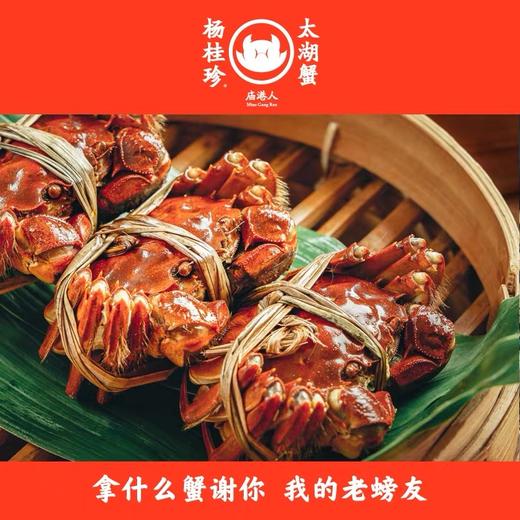 （永久下架）【大闸蟹】庙港人杨桂珍太湖蟹 鲜活大闸蟹 商品图0