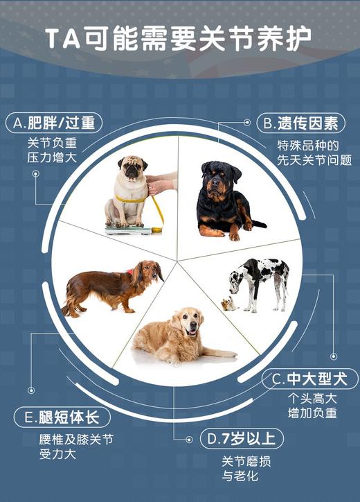 麦德氏IN-VET 鲨鱼软骨素  商品图6