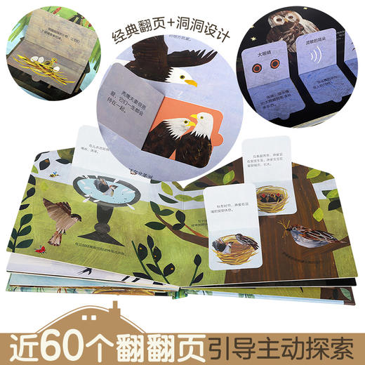 【玩具反斗城】这是我的家（3册全）虫虫的家+小鸟的家+动物的家 原价264/套 商品图2